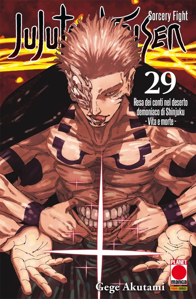 Jujutsu Kaisen Sorcery Fight n.29