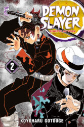 Demon Slayer New Edition n.2